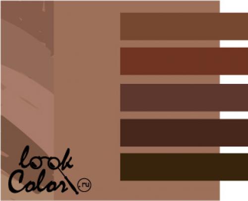 С каким цветом сочетать цвет мокко. 16