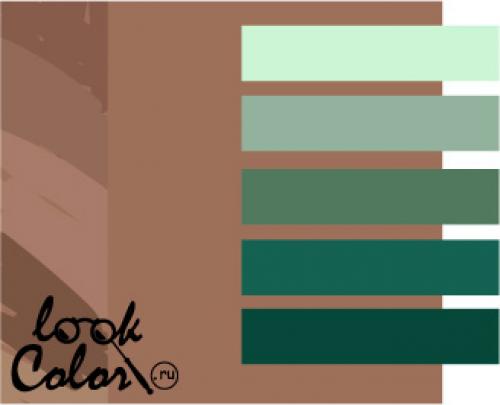 Цвет мокко с чем сочетается в одежде. Цвет мокко 05 Цвет мокко с чем сочетается в одежде. Цвет мокко 05