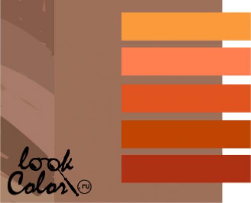 Цвет мокко с чем сочетается в одежде. Цвет мокко 02 Цвет мокко с чем сочетается в одежде. Цвет мокко 02