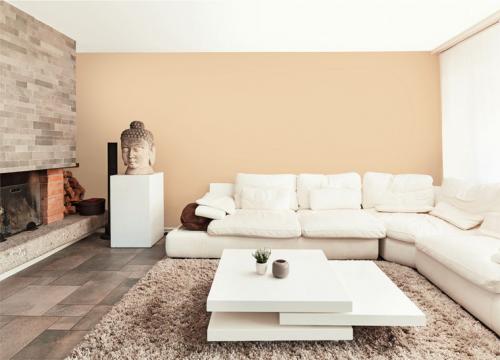 Цвет кофе с молоком – нежный оттенок для стильных женских образов 13 Цвет кофе с молоком – нежный оттенок для стильных женских образов 13