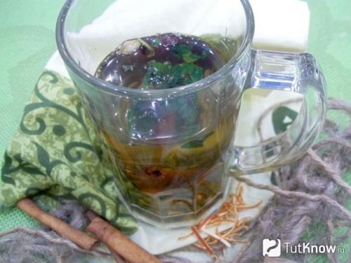 Чай с мятой и мелиссой. Мелиссы трава : инструкция по применению 01