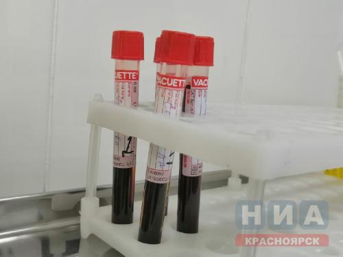 Безопасность прежде всего: как коронавирус изменил посещение садов и школ 04