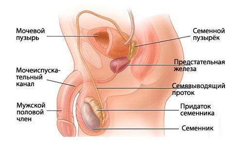 Качественный сон при боли в пояснице. Причины боли 02
