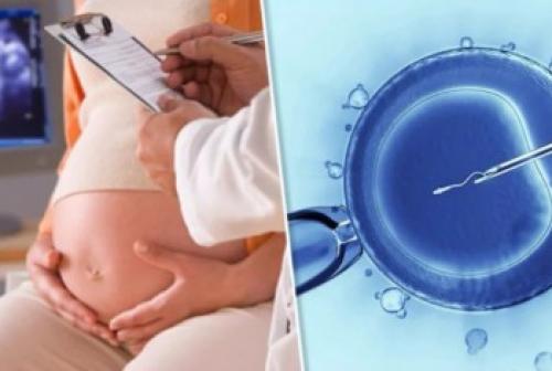 Отеки при беременности. Основные причины появления отеков и варикоза у беременных 03