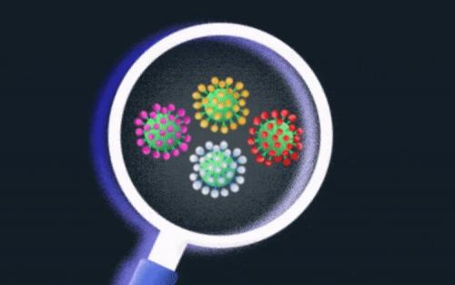 Чем коронавирус до сих пор удивляет ученых. Как мутирует коронавирус
