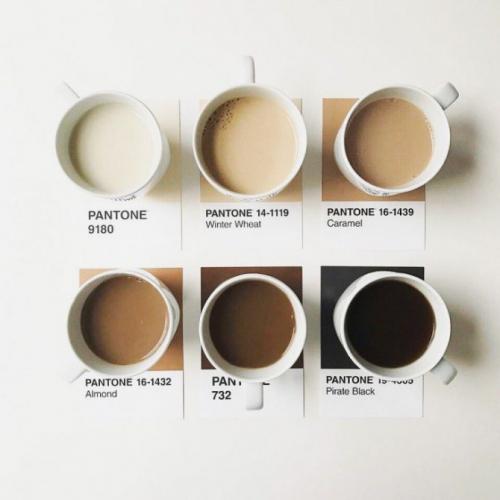 Как создать элегантный образ с использованием цвета мокко. beauty.ua