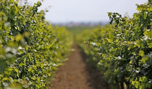 Почему в марте потепления не радуют 05