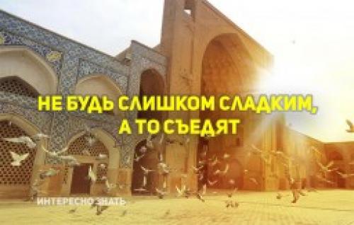 Изучаем мудрость прошлого: ассирийские пословицы и поговорки 09