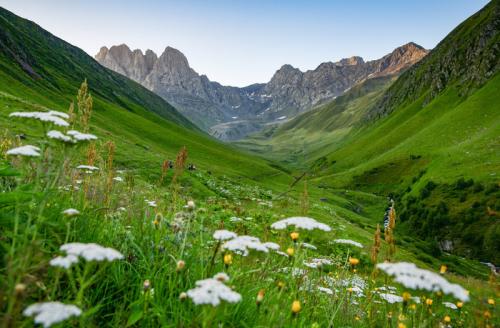 Поучительные грузинские пословицы: мудрость восточной культуры 02