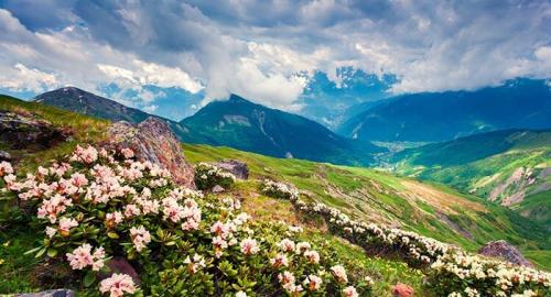 Поучительные грузинские пословицы: мудрость восточной культуры 04