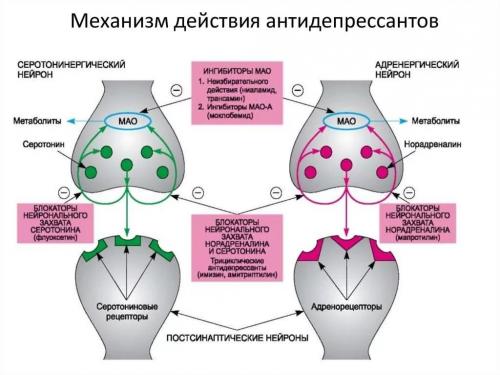 Как повысить серотонин таблетки. Но стоит ли сразу пускать в ход «тяжелую артиллерию»?