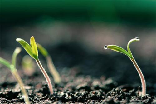 Чему надо научиться в жизни. 20 вещей для развития, которые важно знать каждому