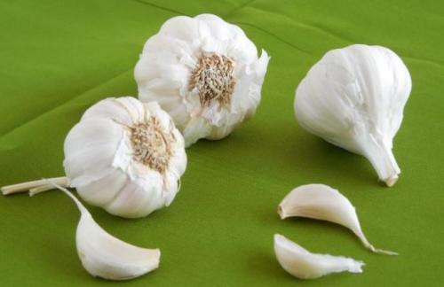 Защищает ли чеснок на шее от простуды. Как использовать чеснок для защиты от ОРВИ