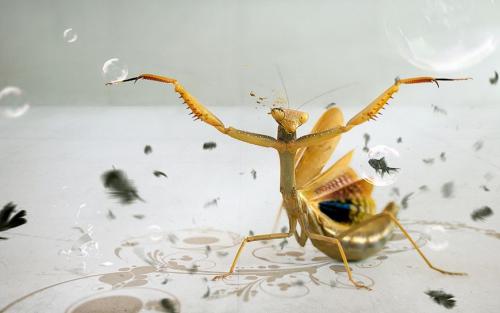 Вопросы для игры в ВК. 55 простых вопросов, которые помогут узнать друг друга лучше