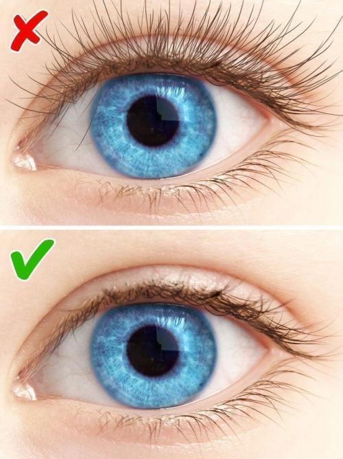 Болезнь внутренних органов по лицу. Зоны проекций - Лицо 06