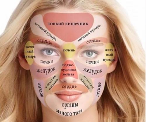 Области на лице отвечающие за органы. За какие органы отвечают прыщи на лице?