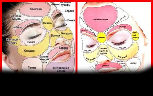 Точки на лице отвечающие за внутренние органы. Диагностирование болезней по лицу человека