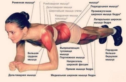 Самое лучшее и простое упражнение для пресса Планка?