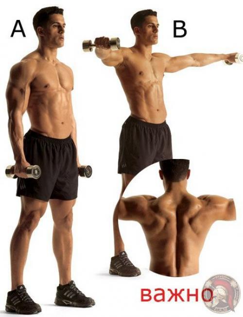 Как сделать мощные мускулистые плечи (упражнения). 03 Как сделать мощные мускулистые плечи (упражнения). 03
