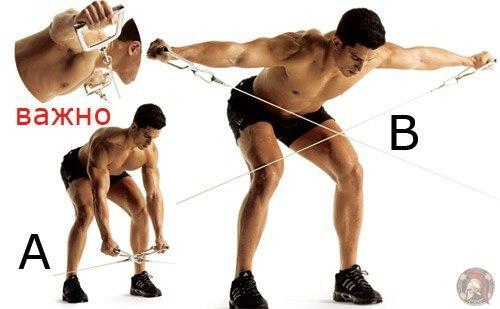 Как сделать мощные мускулистые плечи (упражнения). 05 Как сделать мощные мускулистые плечи (упражнения). 05