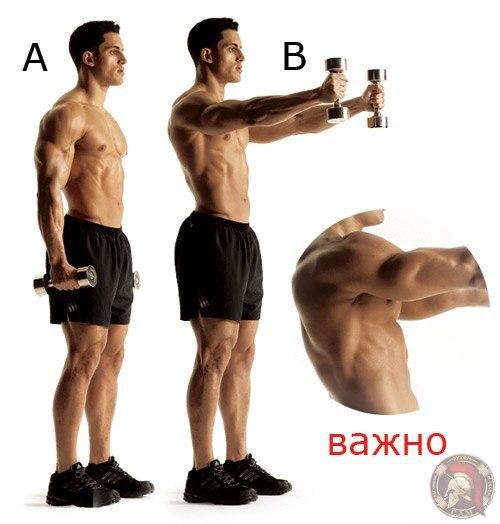 Как сделать мощные мускулистые плечи (упражнения). 06 Как сделать мощные мускулистые плечи (упражнения). 06