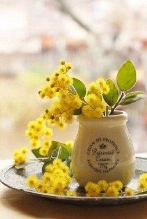 Не разрешайте себе плохое настроение. 02