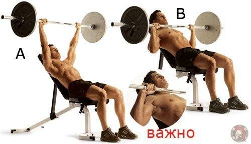 Как сделать мощные мускулистые плечи (упражнения). 02 Как сделать мощные мускулистые плечи (упражнения). 02