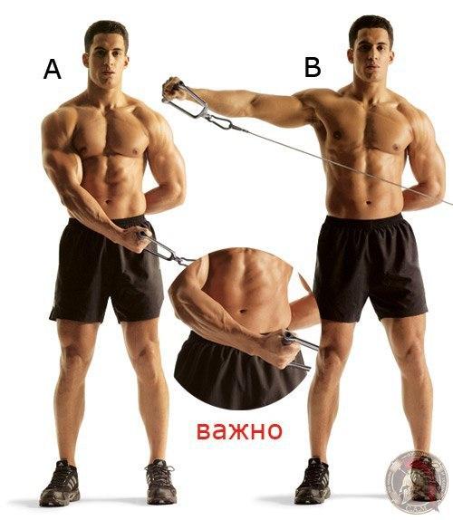 Как сделать мощные мускулистые плечи (упражнения). 04 Как сделать мощные мускулистые плечи (упражнения). 04