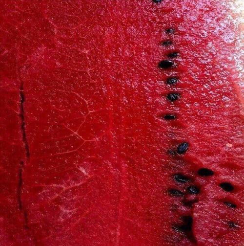 Хочешь после тренировки порадовать не только мышцы, но и мозг? 03 Хочешь после тренировки порадовать не только мышцы, но и мозг? 03