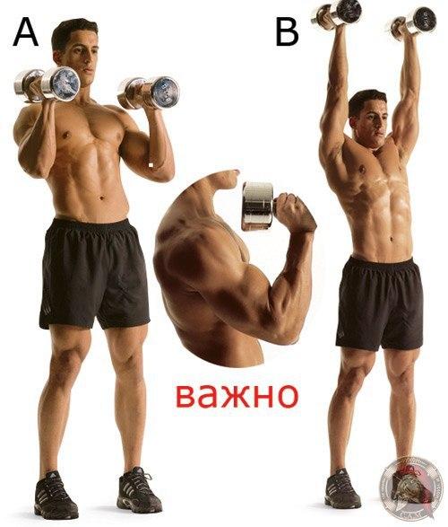 Как сделать мощные мускулистые плечи (упражнения). 01 Как сделать мощные мускулистые плечи (упражнения). 01