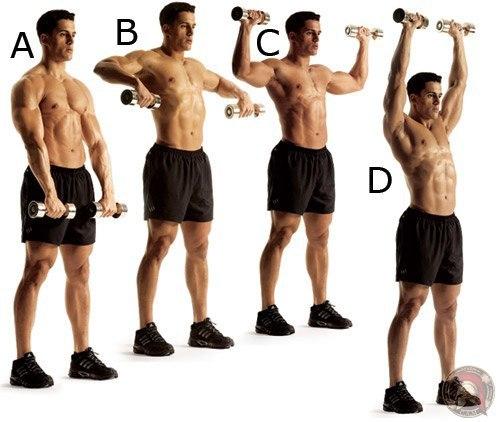 Как сделать мощные мускулистые плечи (упражнения). 07 Как сделать мощные мускулистые плечи (упражнения). 07