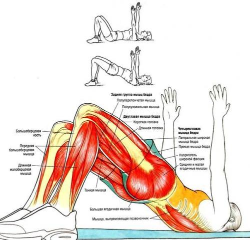 Упражнения для ягодиц и ног (для девушек). 09