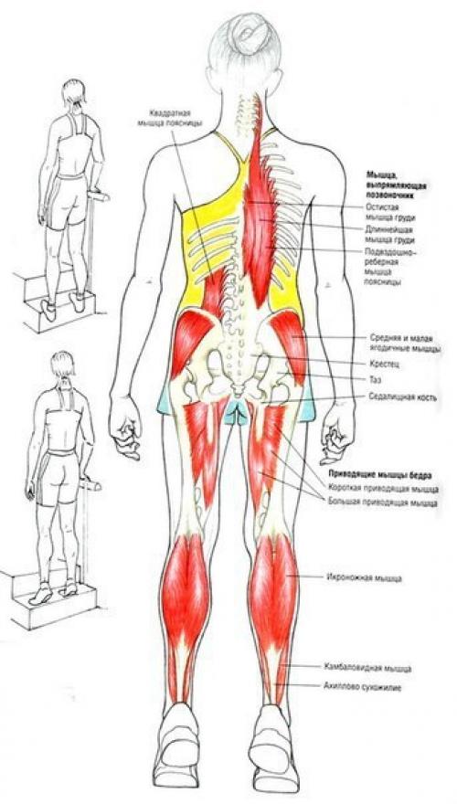 Упражнения для ягодиц и ног (для девушек). 02