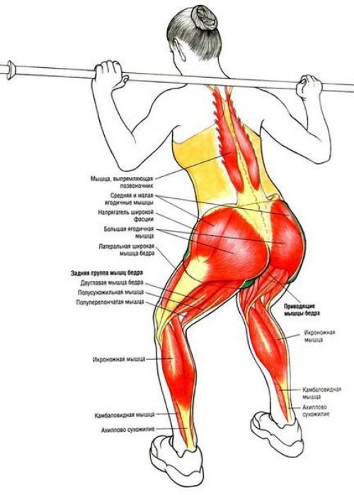 Упражнения для ягодиц и ног (для девушек). 03