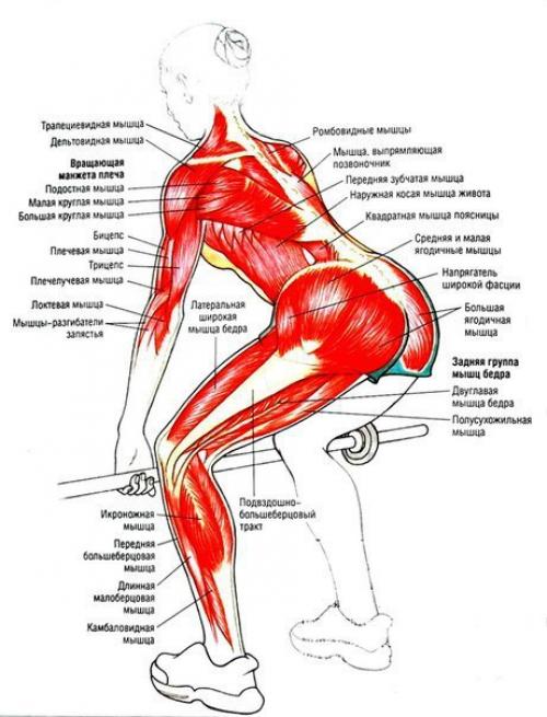 Упражнения для ягодиц и ног (для девушек). 08