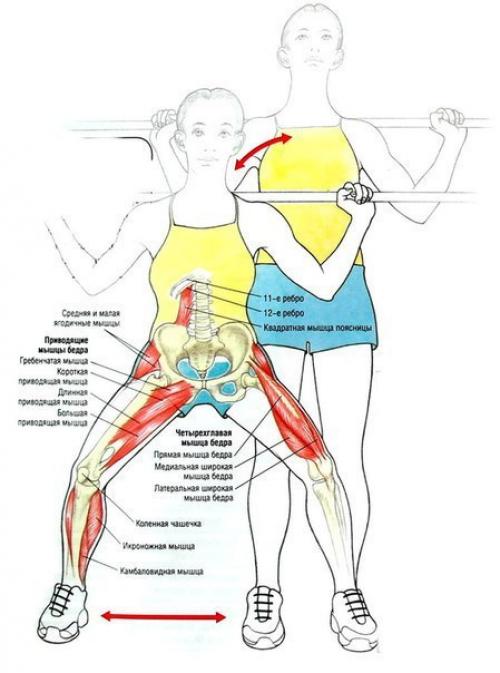 Упражнения для ягодиц и ног (для девушек). 04