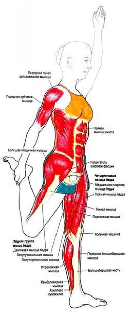 Упражнения для ягодиц и ног (для девушек). 01