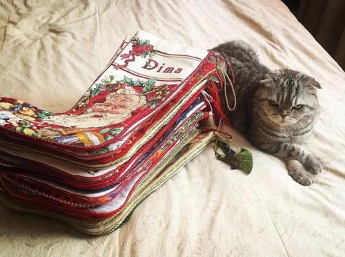 Обалденные работы.  Каждая - как картина. 02