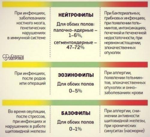 О чем говорит анализ крови? 02