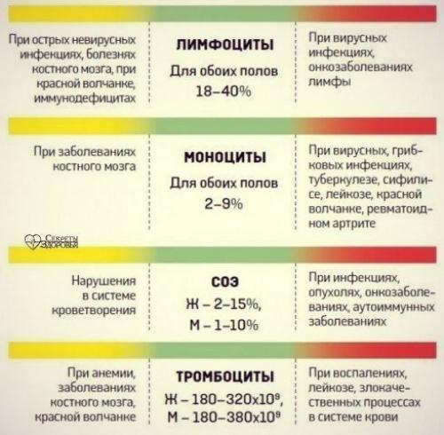 О чем говорит анализ крови? 01