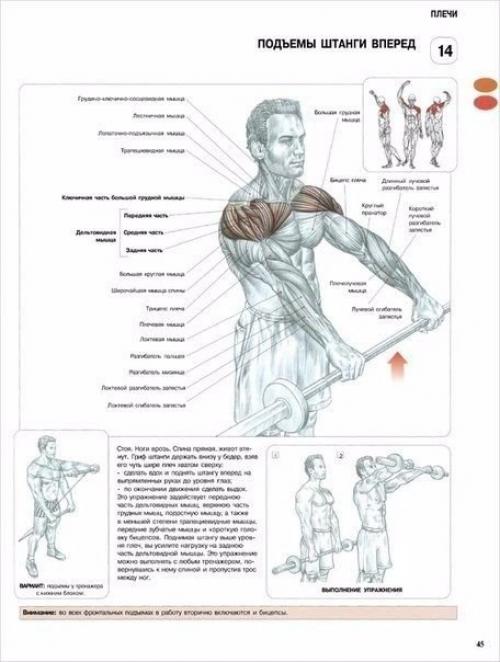 Лучшая программа тренировки плеч. 03 Лучшая программа тренировки плеч. 03
