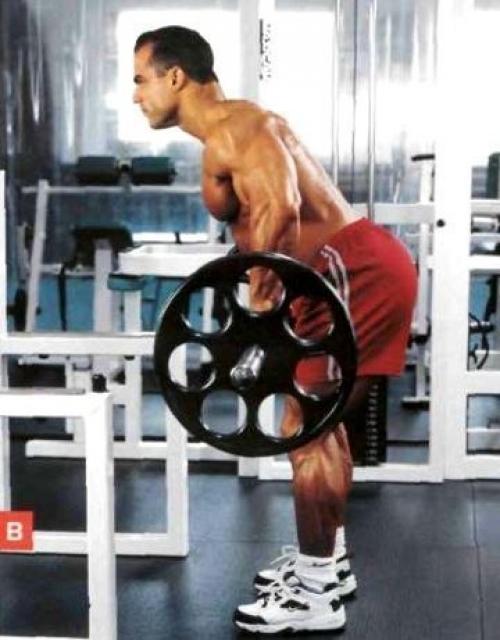 Секреты накачки широкой спины от профи марка дагдейла. 02 Секреты накачки широкой спины от профи марка дагдейла. 02