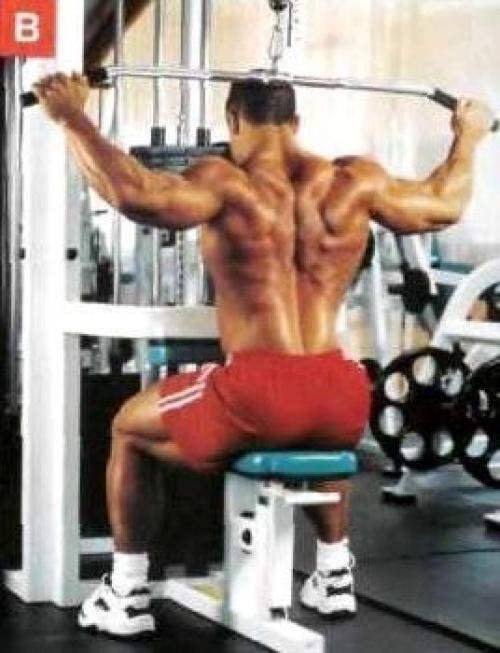 Секреты накачки широкой спины от профи марка дагдейла. 03 Секреты накачки широкой спины от профи марка дагдейла. 03