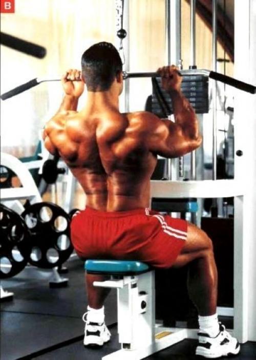 Секреты накачки широкой спины от профи марка дагдейла. 01 Секреты накачки широкой спины от профи марка дагдейла. 01