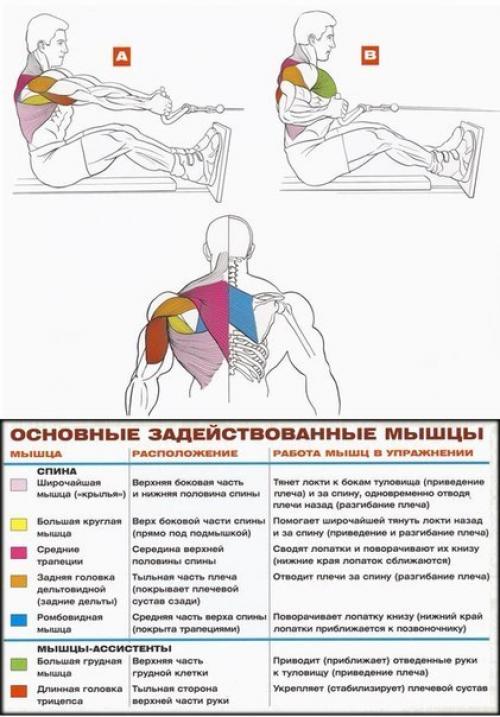 Мы прокачиваем широчайшие. 05
