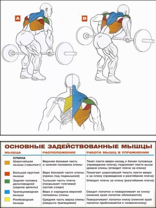 Мы прокачиваем широчайшие. 07