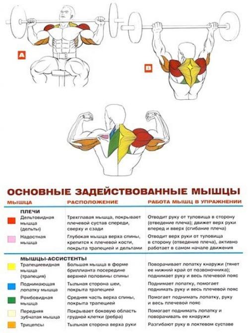 Икры и дельты - это самые Трудные мышцы. 03 Икры и дельты - это самые Трудные мышцы. 03