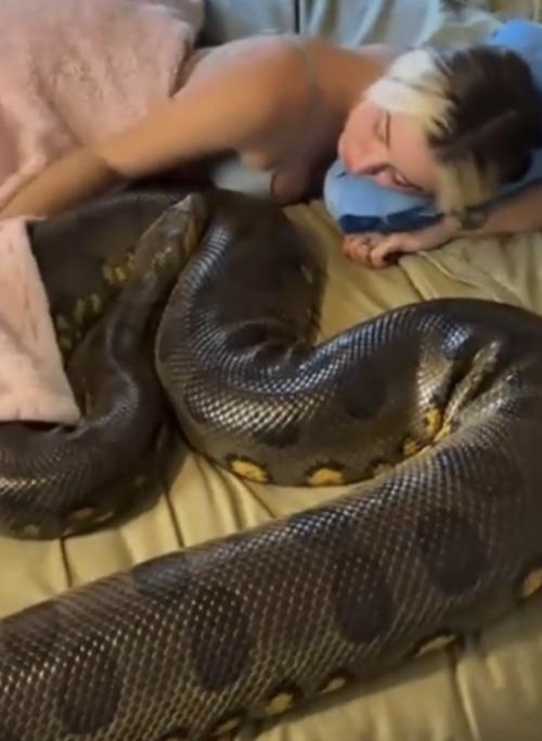 Поиск идеальной лучшей подруги - задача не из легких, и иногда этот процесс приводит к весьма нестандартным решениям.  