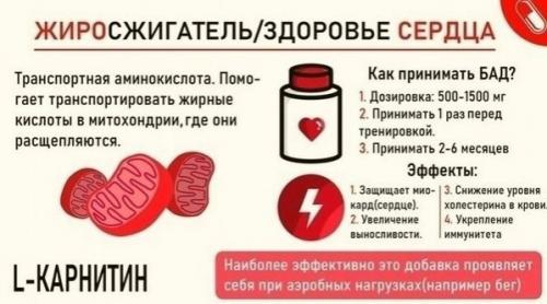 На заметку: абор сaмых эффeктивных бадо. 02