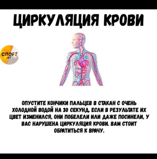 Японский тест на здоровье. 02